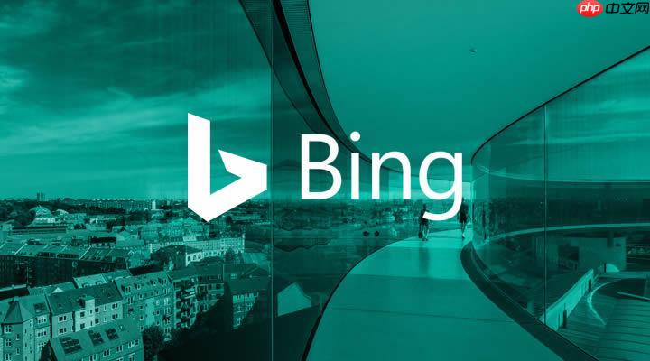 BING搜索引擎怎样设置首页壁纸_BING每日壁纸更换与自定义【技巧】 第1张 BING搜索引擎怎样设置首页壁纸_BING每日壁纸更换与自定义【技巧】 第1张