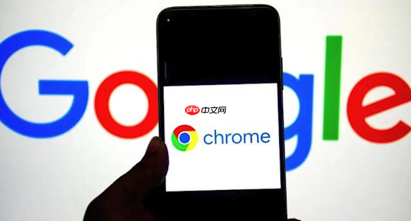 谷歌浏览器如何导出和导入书签 Google Chrome书签备份与导入教程  第1张