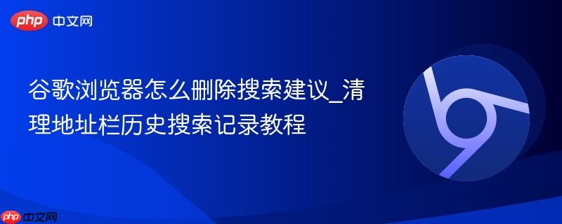 谷歌浏览器怎么删除搜索建议_清理地址栏历史搜索记录教程  第1张