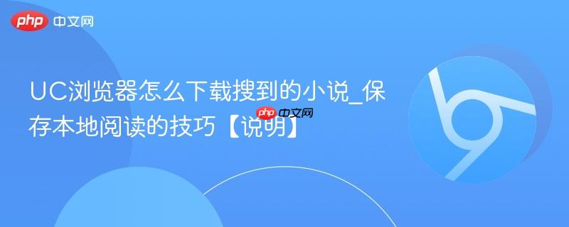 UC浏览器怎么下载搜到的小说_保存本地阅读的技巧【说明】  第1张