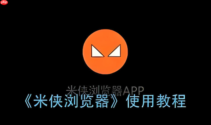 米侠浏览器历史记录不显示怎么办 米侠浏览器记录修复  第1张