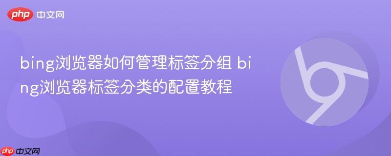 bing浏览器如何管理标签分组 bing浏览器标签分类的配置教程 第1张 bing浏览器如何管理标签分组 bing浏览器标签分类的配置教程 第1张