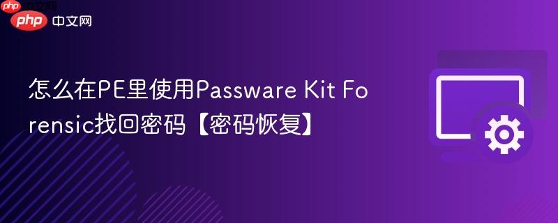 怎么在PE里使用Passware Kit Forensic找回密码【密码恢复】  第1张