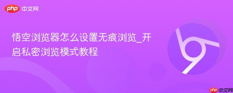 悟空浏览器怎么设置无痕浏览_开启私密浏览模式教程  第1张