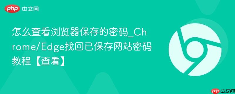 怎么查看浏览器保存的密码_Chrome/Edge找回已保存网站密码教程【查看】  第1张