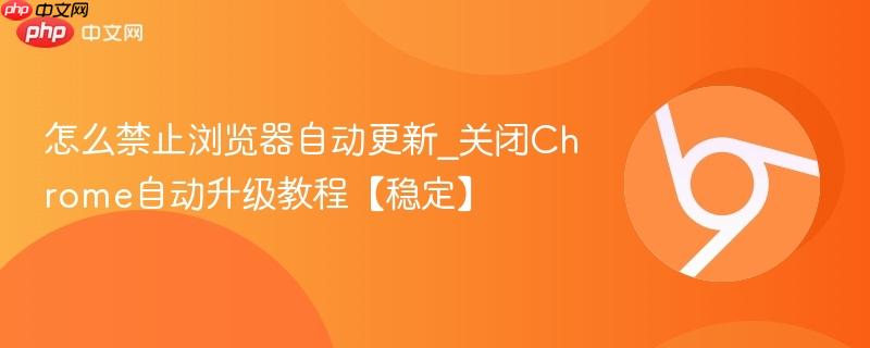 怎么禁止浏览器自动更新_关闭Chrome自动升级教程【稳定】  第1张