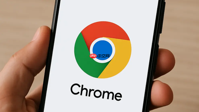 谷歌浏览器搜索联想不显示怎么办 Google Chrome搜索建议修复  第1张