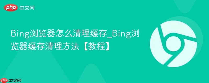 Bing浏览器怎么清理缓存_Bing浏览器缓存清理方法【教程】  第1张