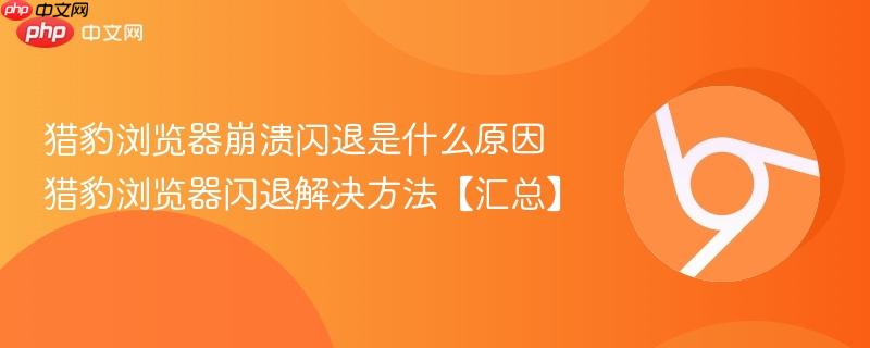 猎豹浏览器崩溃闪退是什么原因 猎豹浏览器闪退解决方法【汇总】  第1张