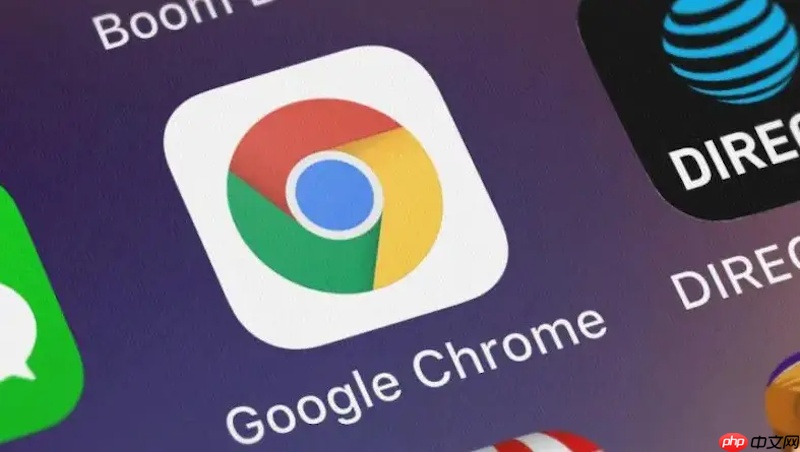 google浏览器网页入口怎么找_谷歌Chrome网页版浏览器入口地址  第1张