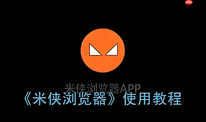 米侠浏览器如何清除缓存和Cookie 米侠浏览器清理缓存与Cookie  第1张