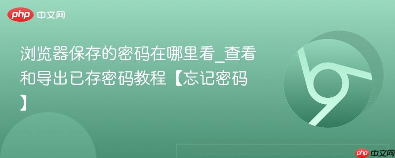浏览器保存的密码在哪里看_查看和导出已存密码教程【忘记密码】  第1张