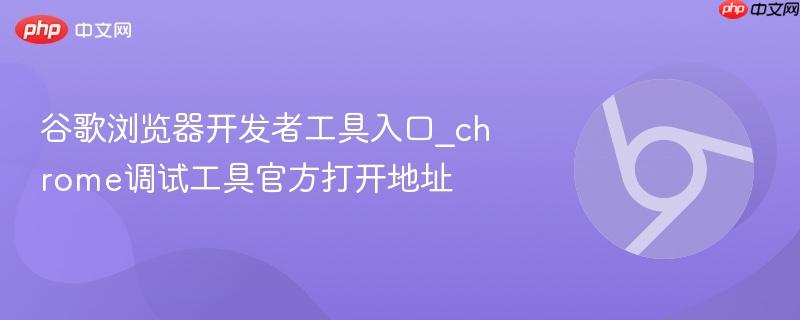 谷歌浏览器开发者工具入口_chrome调试工具官方打开地址 第1张 谷歌浏览器开发者工具入口_chrome调试工具官方打开地址 第1张