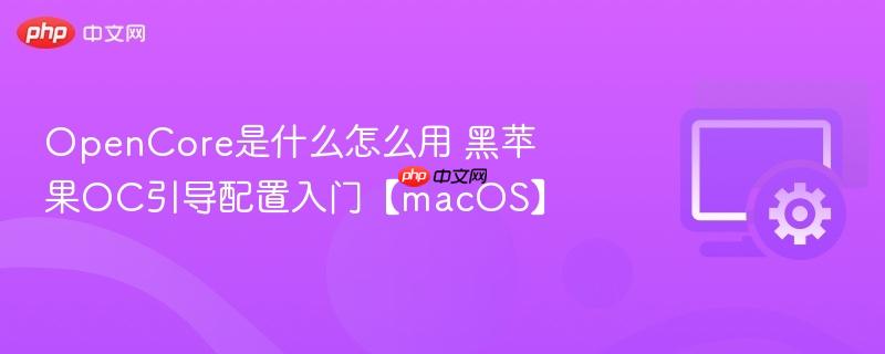 OpenCore是什么怎么用 黑苹果OC引导配置入门【macOS】 第1张 OpenCore是什么怎么用 黑苹果OC引导配置入门【macOS】 第1张