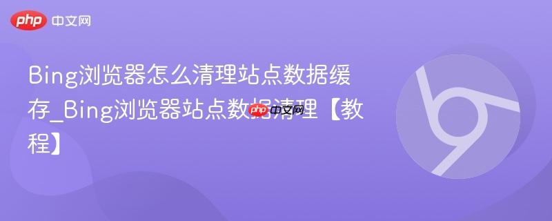 Bing浏览器怎么清理站点数据缓存_Bing浏览器站点数据清理【教程】 第1张 Bing浏览器怎么清理站点数据缓存_Bing浏览器站点数据清理【教程】 第1张