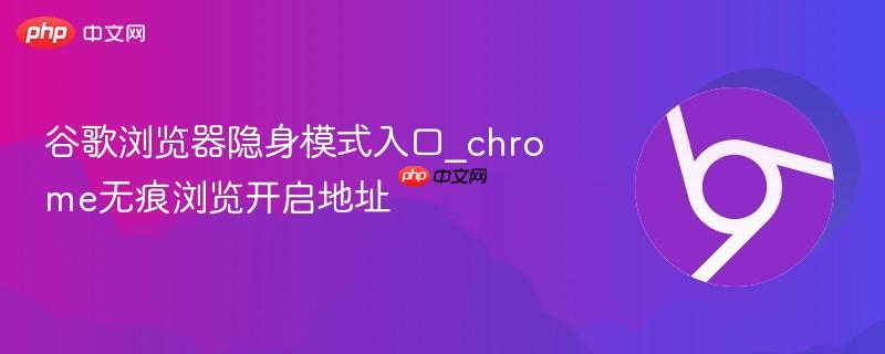 谷歌浏览器隐身模式入口_chrome无痕浏览开启地址  第1张