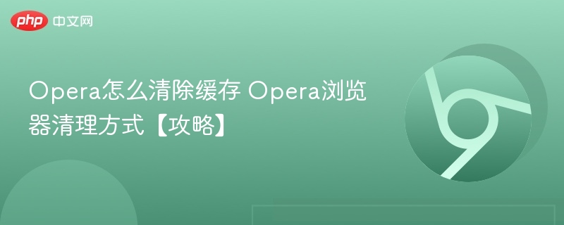 Opera怎么清除缓存 Opera浏览器清理方式【攻略】  第1张
