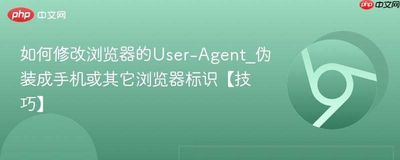 如何修改浏览器的User-Agent_伪装成手机或其它浏览器标识【技巧】  第1张
