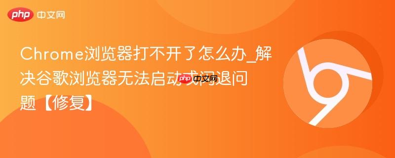 Chrome浏览器打不开了怎么办_解决谷歌浏览器无法启动或闪退问题【修复】  第1张
