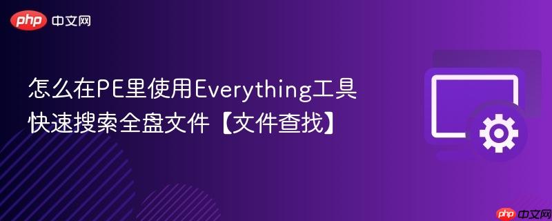 怎么在PE里使用Everything工具快速搜索全盘文件【文件查找】  第1张