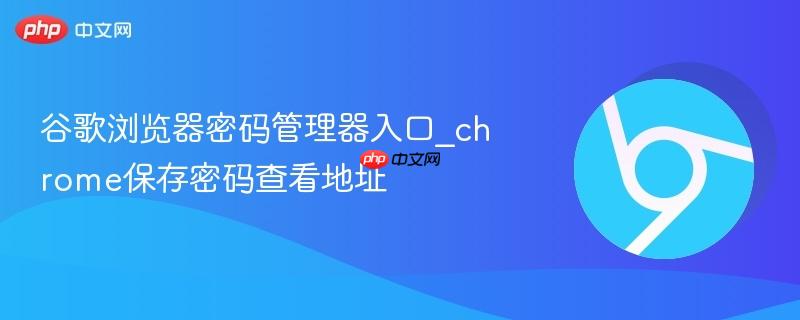 谷歌浏览器密码管理器入口_chrome保存密码查看地址 第1张 谷歌浏览器密码管理器入口_chrome保存密码查看地址 第1张