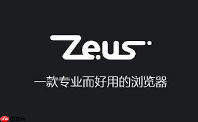 宙斯浏览器官网入口网址 宙斯浏览器快速访问主页  第1张