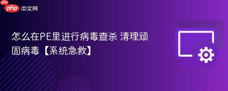 怎么在PE里进行病毒查杀 清理顽固病毒【系统急救】  第1张