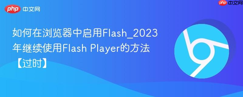 如何在浏览器中启用Flash_2023年继续使用Flash Player的方法【过时】  第1张