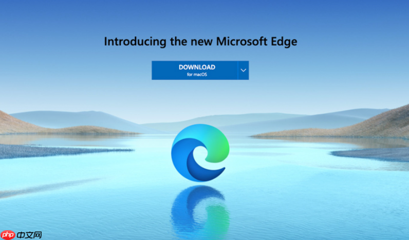 Microsoft Edge如何解决网页加载问题 Edge浏览器加载问题修复  第1张