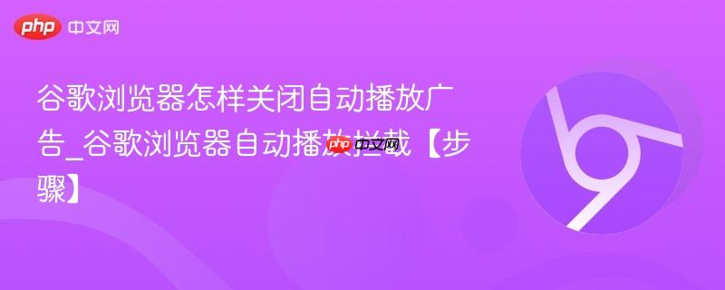 谷歌浏览器怎样关闭自动播放广告_谷歌浏览器自动播放拦截【步骤】  第1张