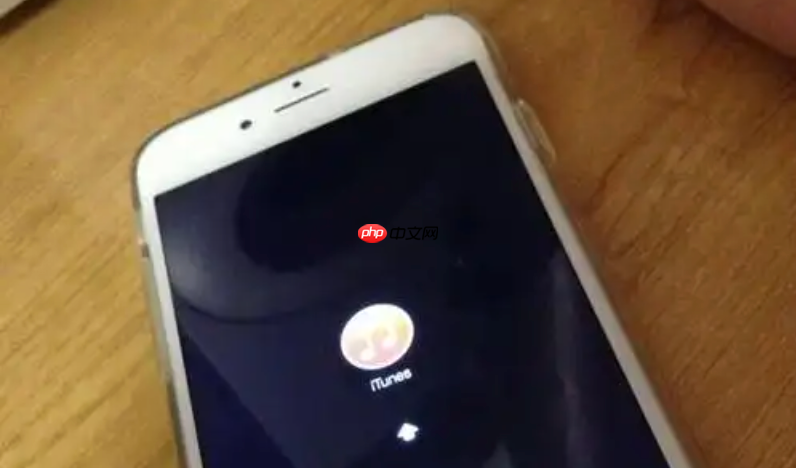 手机充电策略设置:如何通过软件延长电池寿命? 优化充电模式 第1张 手机充电策略设置:如何通过软件延长电池寿命? 优化充电模式 第1张