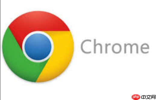 Google入口在线地址详解_Google官网首页在线访问永久入口 第1张 Google入口在线地址详解_Google官网首页在线访问永久入口 第1张