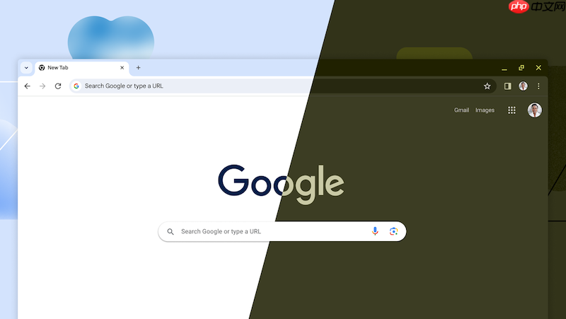 Google浏览器官方在线网页版 Google浏览器最新官网直通车  第1张
