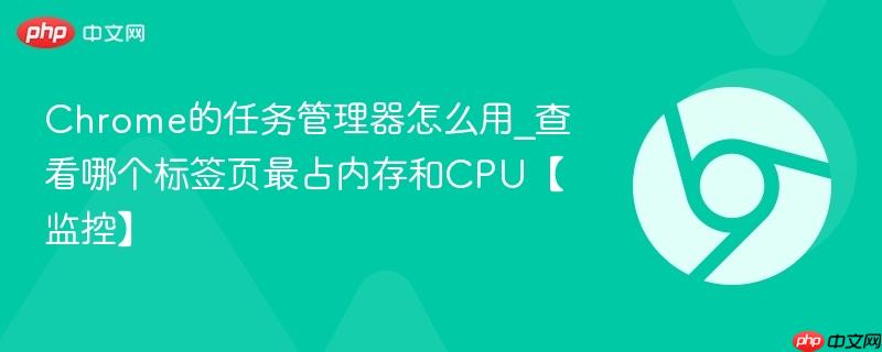 Chrome的任务管理器怎么用_查看哪个标签页最占内存和CPU【监控】  第1张