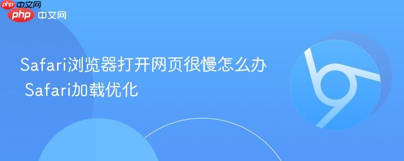 Safari浏览器打开网页很慢怎么办 Safari加载优化  第1张