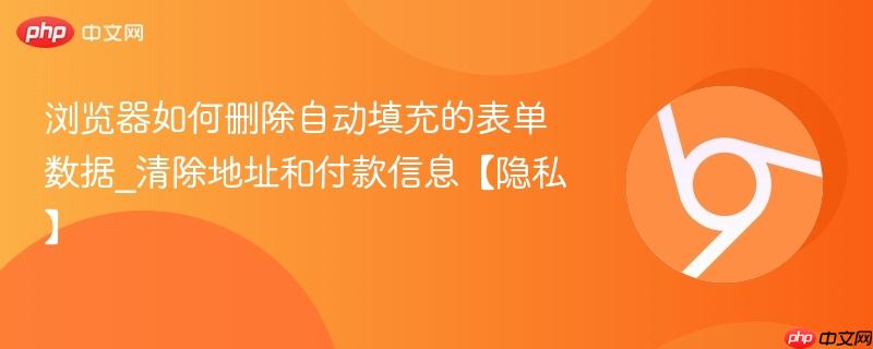 浏览器如何删除自动填充的表单数据_清除地址和付款信息【隐私】 第1张 浏览器如何删除自动填充的表单数据_清除地址和付款信息【隐私】 第1张