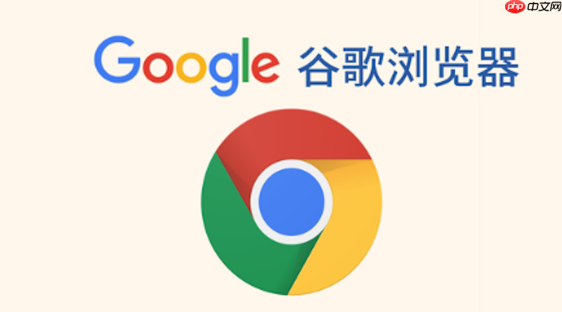 谷歌浏览器如何修复网页无法加载 Google Chrome网页加载修复方法  第1张
