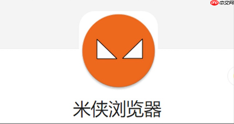 米侠浏览器标签页加载失败怎么办 米侠标签修复