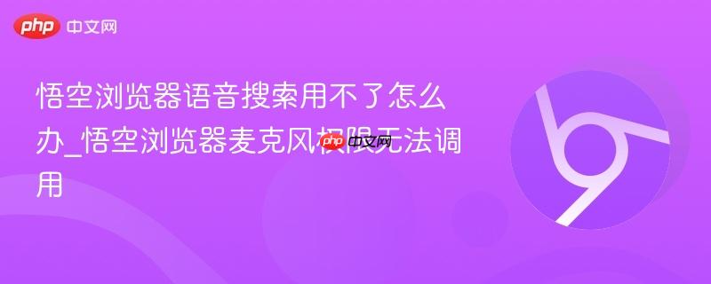 悟空浏览器语音搜索用不了怎么办_悟空浏览器麦克风权限无法调用