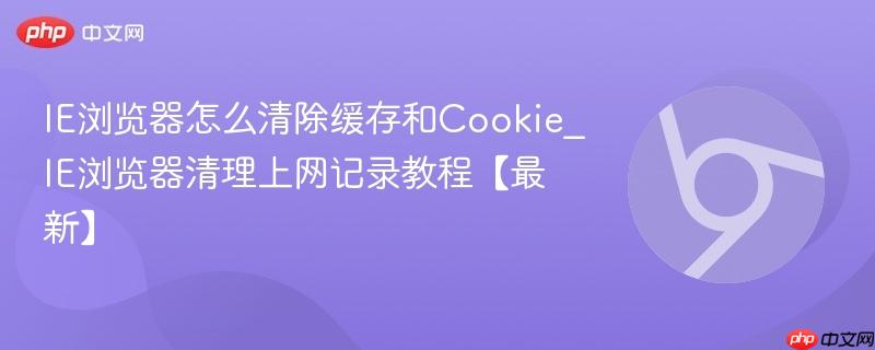 IE浏览器怎么清除缓存和Cookie_IE浏览器清理上网记录教程【最新】  第1张