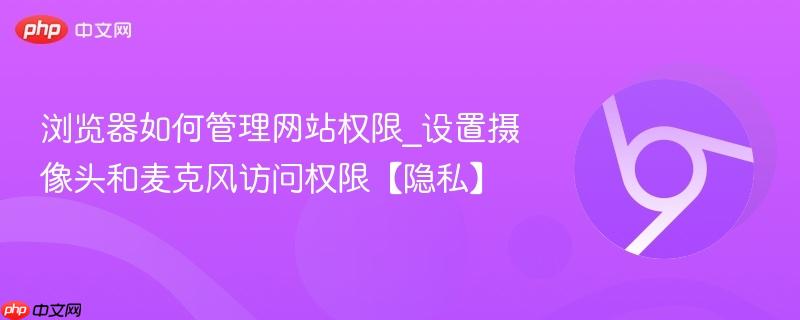 浏览器如何管理网站权限_设置摄像头和麦克风访问权限【隐私】  第1张