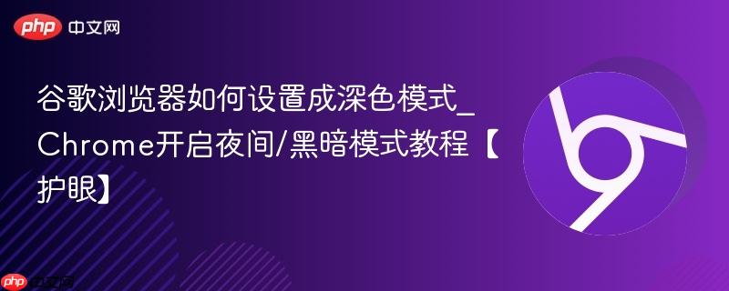 谷歌浏览器如何设置成深色模式_Chrome开启夜间/黑暗模式教程【护眼】 第1张 谷歌浏览器如何设置成深色模式_Chrome开启夜间/黑暗模式教程【护眼】 第1张