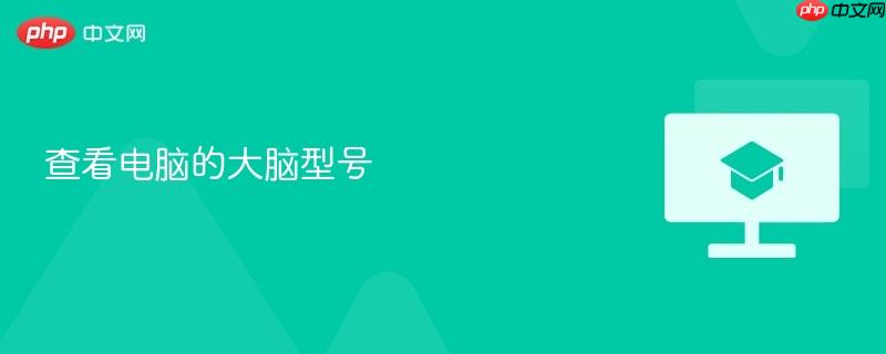 查看电脑的大脑型号 第1张 查看电脑的大脑型号 第1张