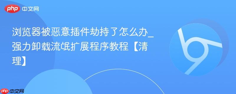 浏览器被恶意插件劫持了怎么办_强力卸载流氓扩展程序教程【清理】  第1张
