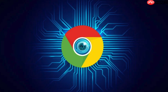 google浏览器官网入口网址_谷歌Chrome浏览器官方下载官网入口  第1张