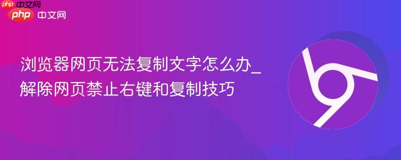 浏览器网页无法复制文字怎么办_解除网页禁止右键和复制技巧