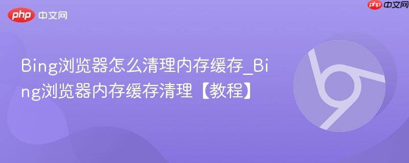 Bing浏览器怎么清理内存缓存_Bing浏览器内存缓存清理【教程】 第1张 Bing浏览器怎么清理内存缓存_Bing浏览器内存缓存清理【教程】 第1张
