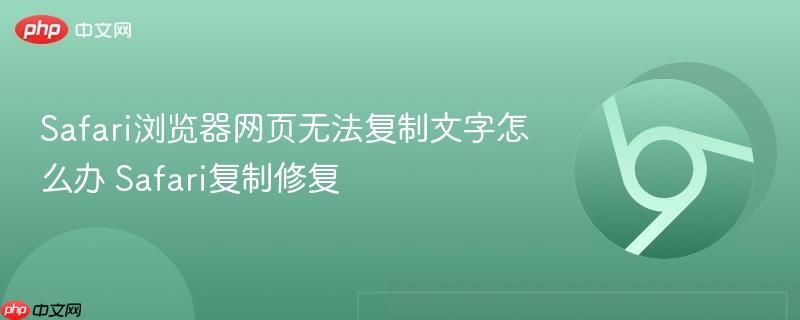 Safari浏览器网页无法复制文字怎么办 Safari复制修复