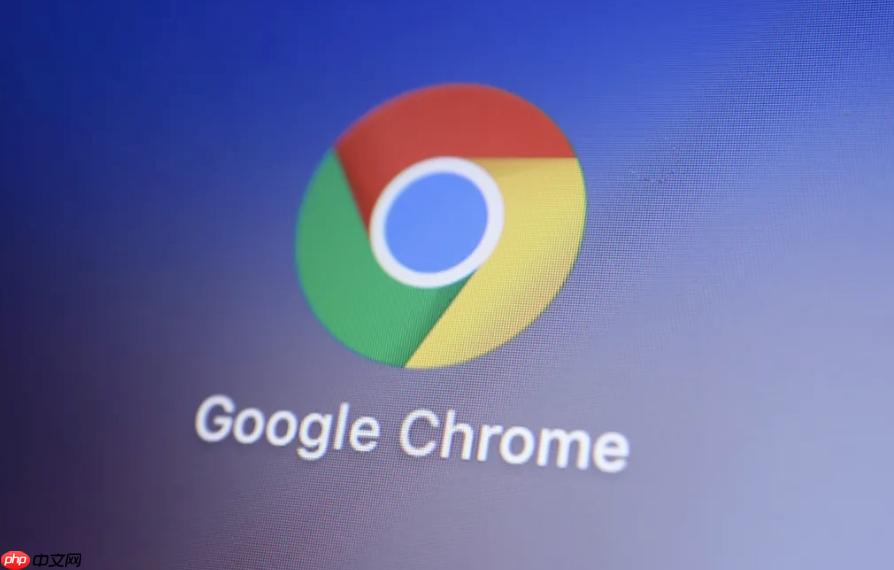 谷歌浏览器插件占用内存过高怎么办 Google Chrome扩展优化