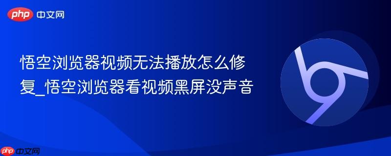 悟空浏览器视频无法播放怎么修复_悟空浏览器看视频黑屏没声音 第1张 悟空浏览器视频无法播放怎么修复_悟空浏览器看视频黑屏没声音 第1张